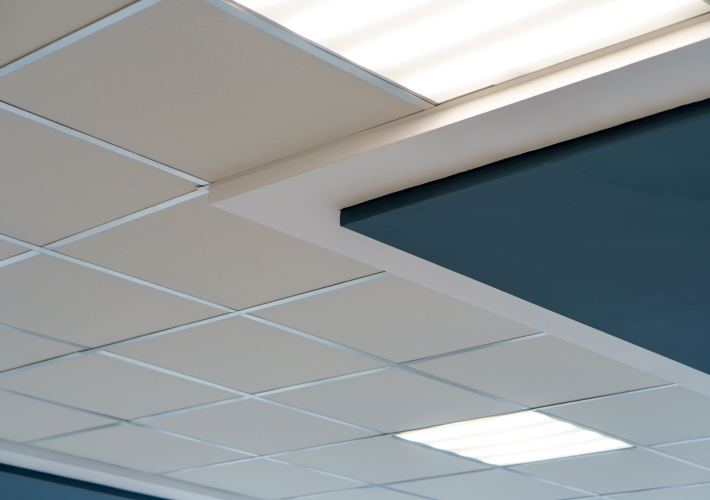 Suspended Ceilings and Set Ceilings